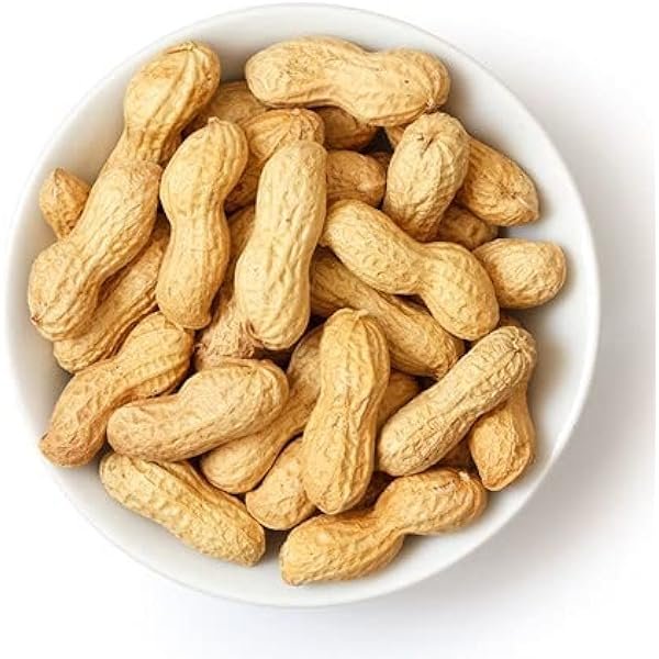 Groundnut Seeds